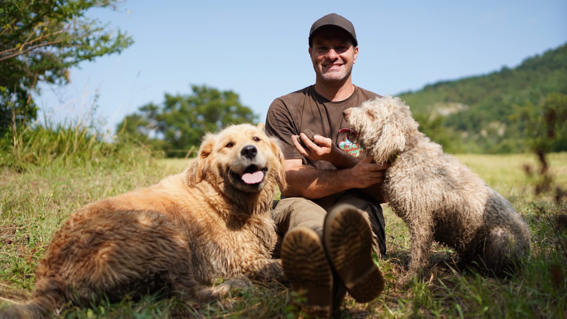 Istrian truffle hunting experience